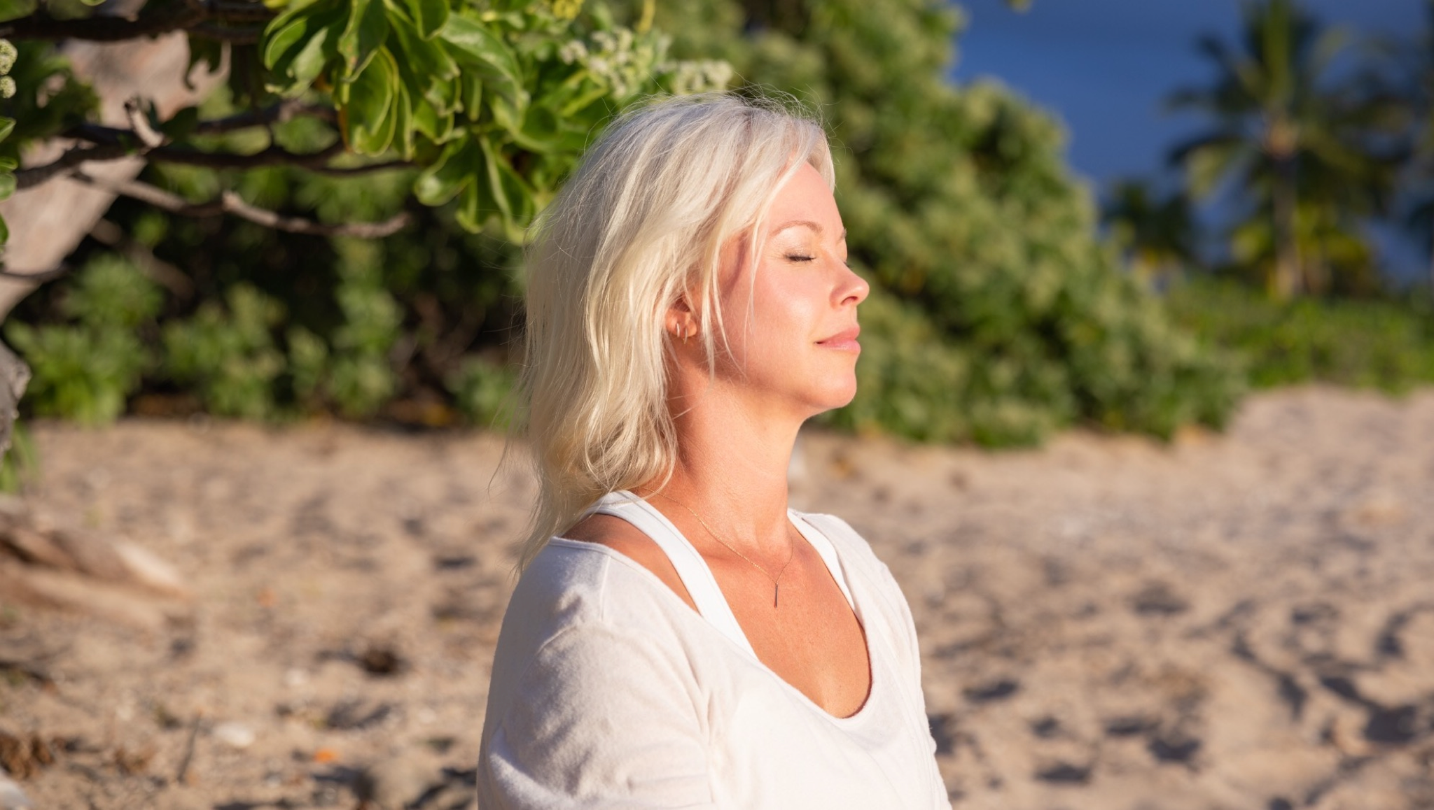 My Journey Into Wellness