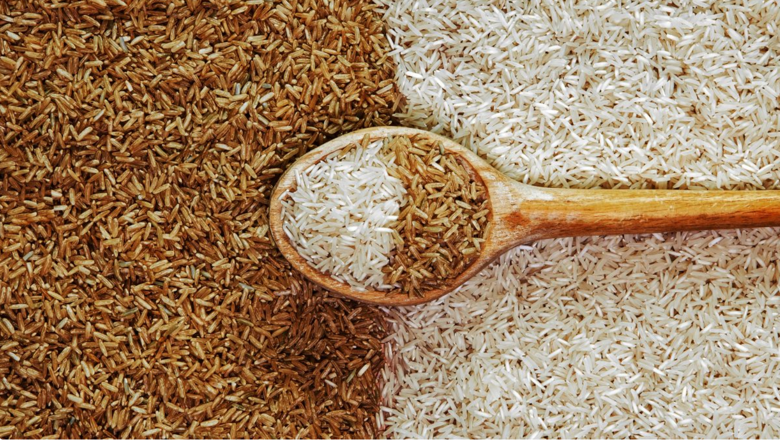 Let's Talk Rice! – Sage Solstice Wellness